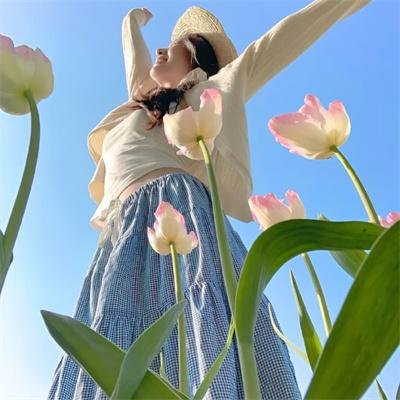 功夫兔与菜包狗第二季